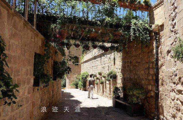 虫虫助手下载